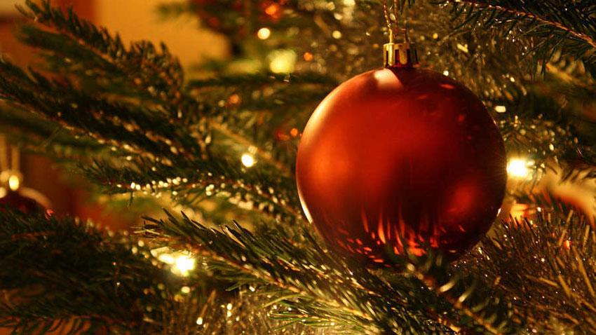 Foto: Weihnachtsbaum mit roter Weichnachtsbaumkugel